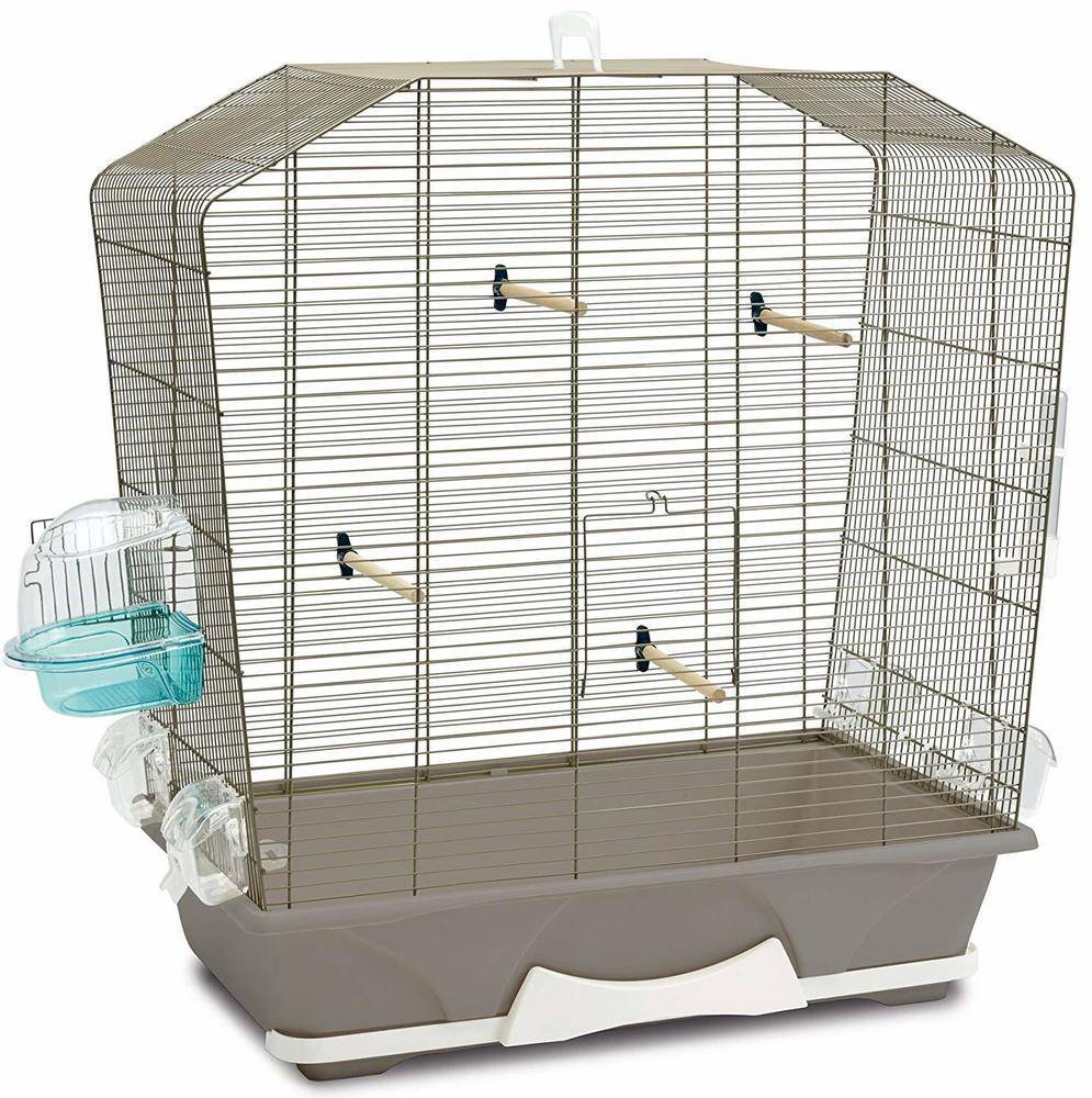 Куда поставить клетку с попугаем, на какой высоте прикрепить, в какие места в доме лучше не ставить домик