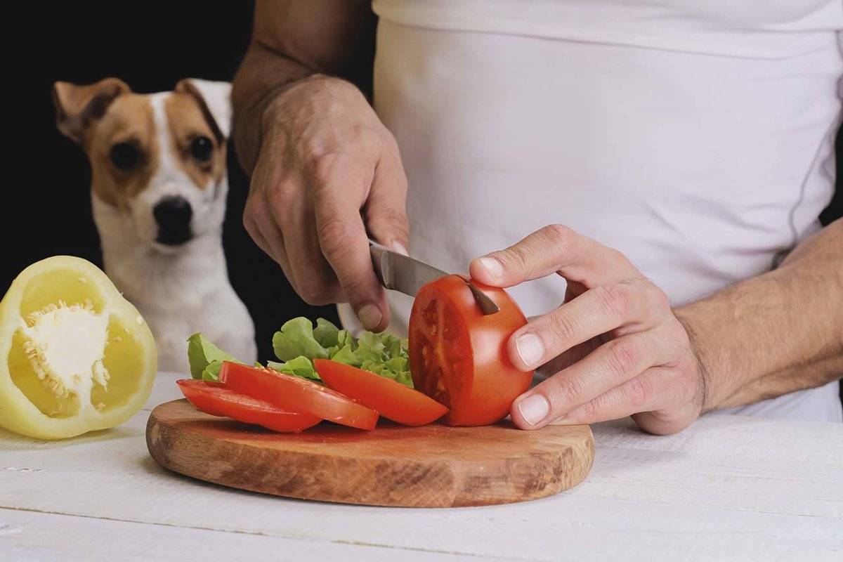 Какие овощи и фрукты можно давать собакам, а какие нельзя