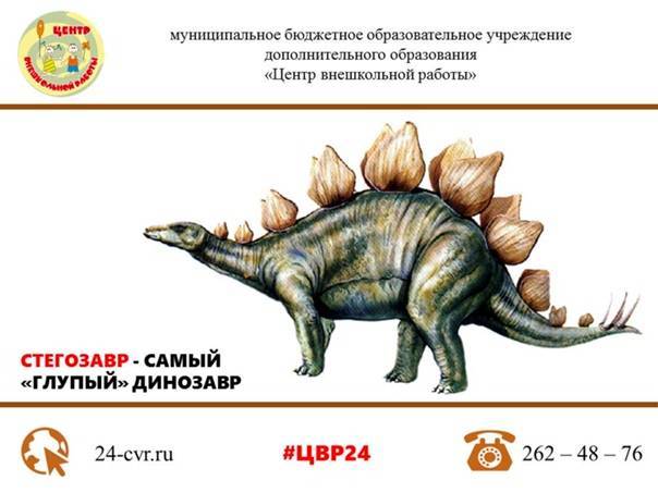 Стегозавр: фото и картинки динозавра, игрушки, лего, как его можно нарисовать