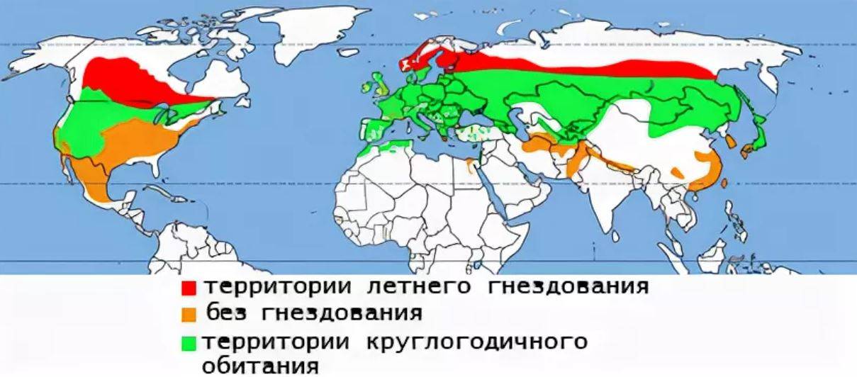 Ареал евразии