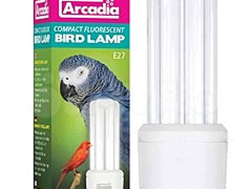 Ультрафиолетовая лампа для попугаев: волнистого, жако, корелла