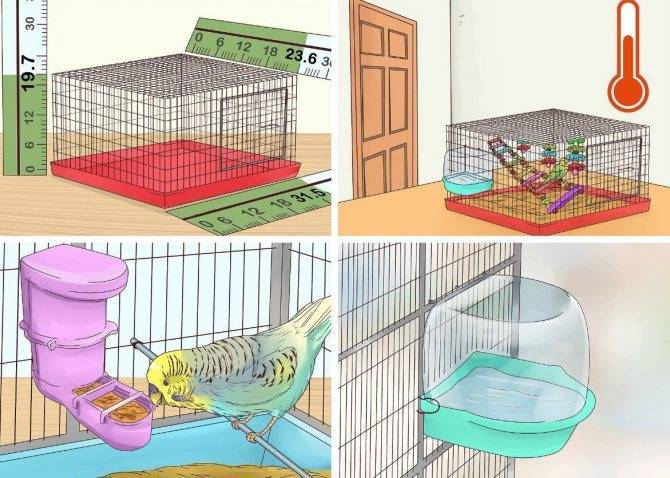 Инструкция по созданию гнездовья для волнистых попугайчиков