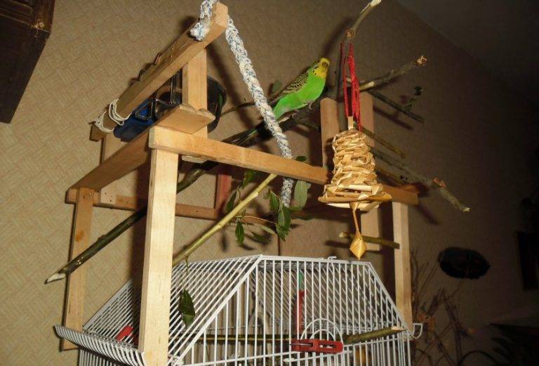 Как сделать игрушки для попугаев своими руками