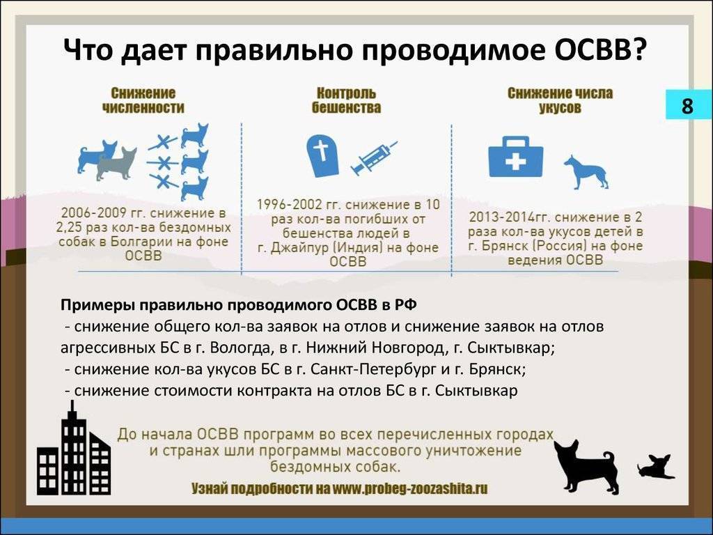 Налог на домашних животных в россии в 2019 году находится на стадии разработки