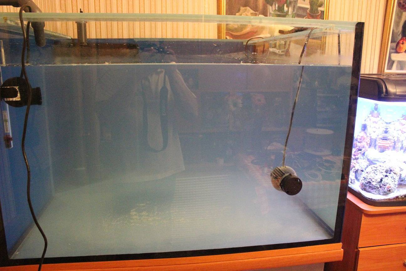 Как почистить аквариум в домашних условиях ?