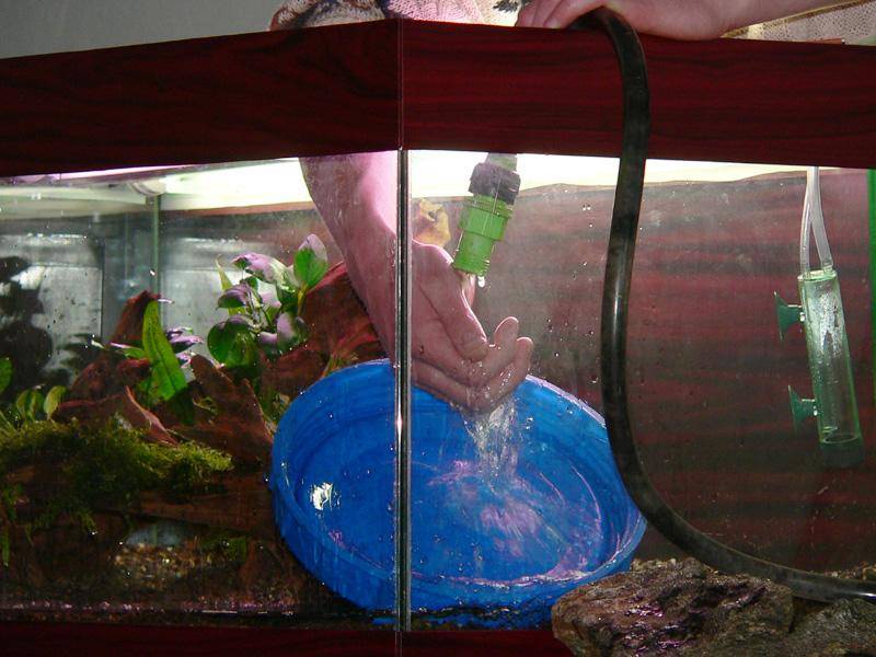 Как менять воду в аквариуме с рыбками - правильно, с гуппи, полностью, как часто, на 30 литров, видео