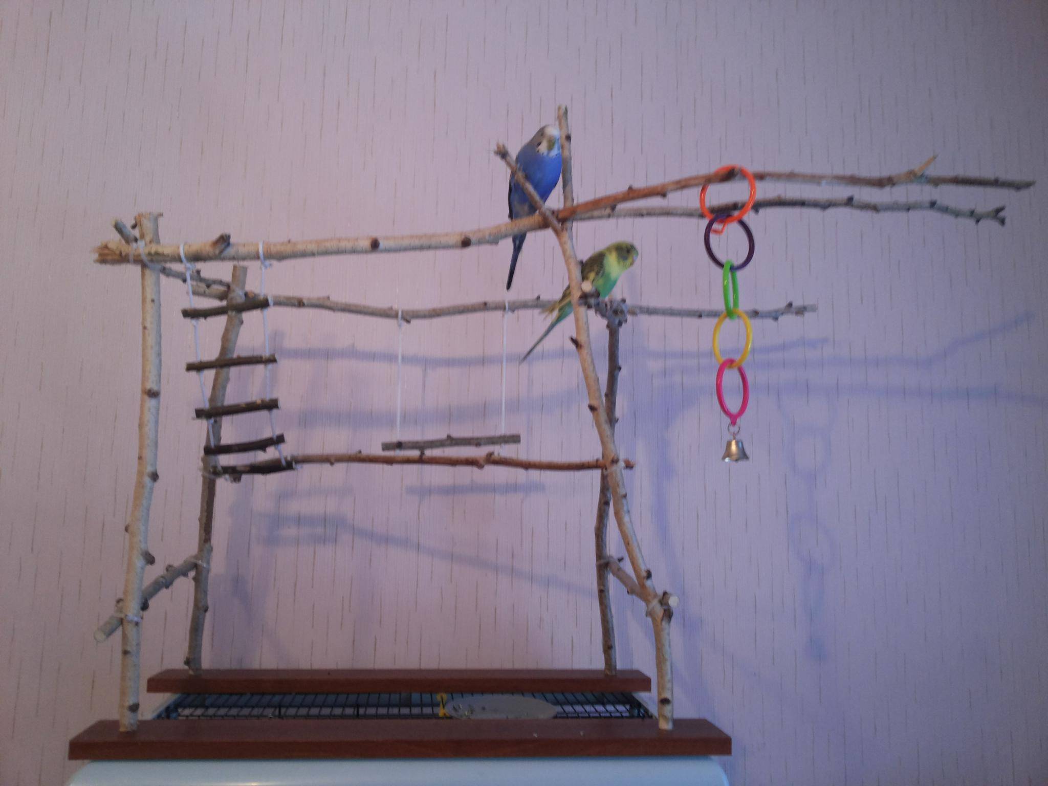 Индивидуальная (игровая) зона попугая в комнате - клетки, вольеры, стенды, переноски, игрушки для кольчатых попугаев - форумы mybirds.ru - все о птицах