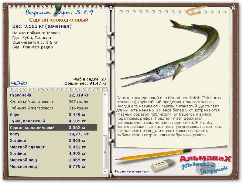 Рыба сарган польза. рыба сарган: рецепты, полезные свойства, фото. естественная среда обитания саргана