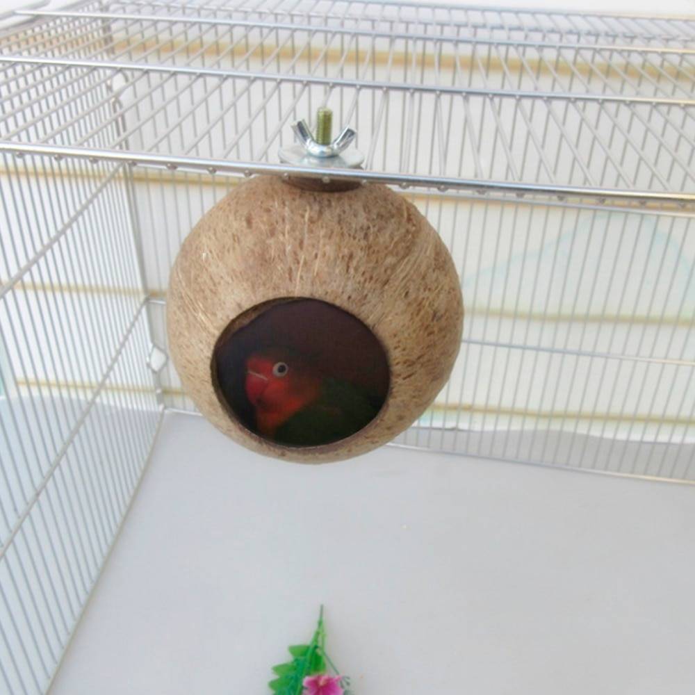 ? гнездо для волнистых попугаев: размеры, материалы, форма