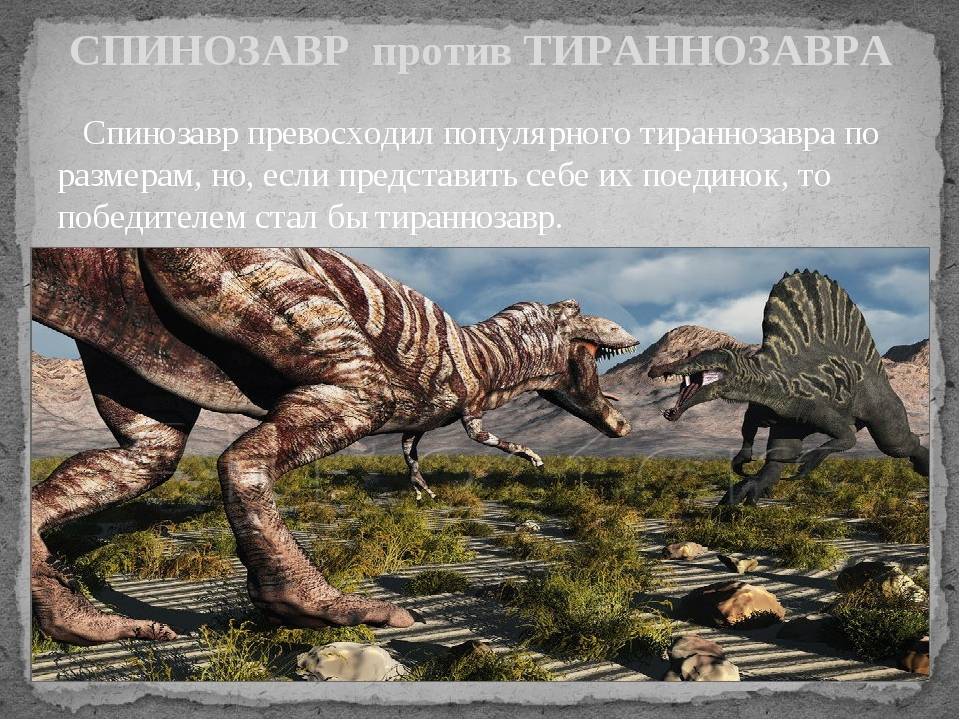 Спинозавр исла сорны | парк юрского периода вики | fandom
