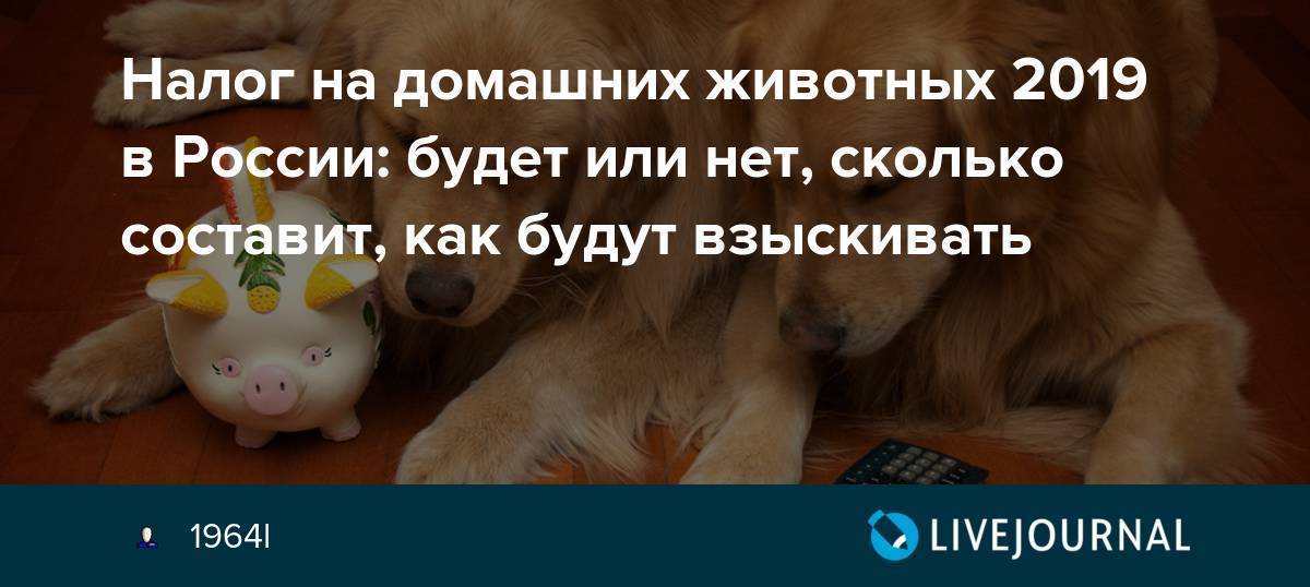 Налог на домашних животных в России в 2019 году