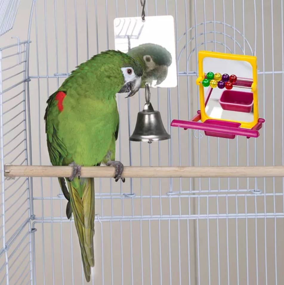 Волнистый попугайчик: клетки, аксессуары, игрушки