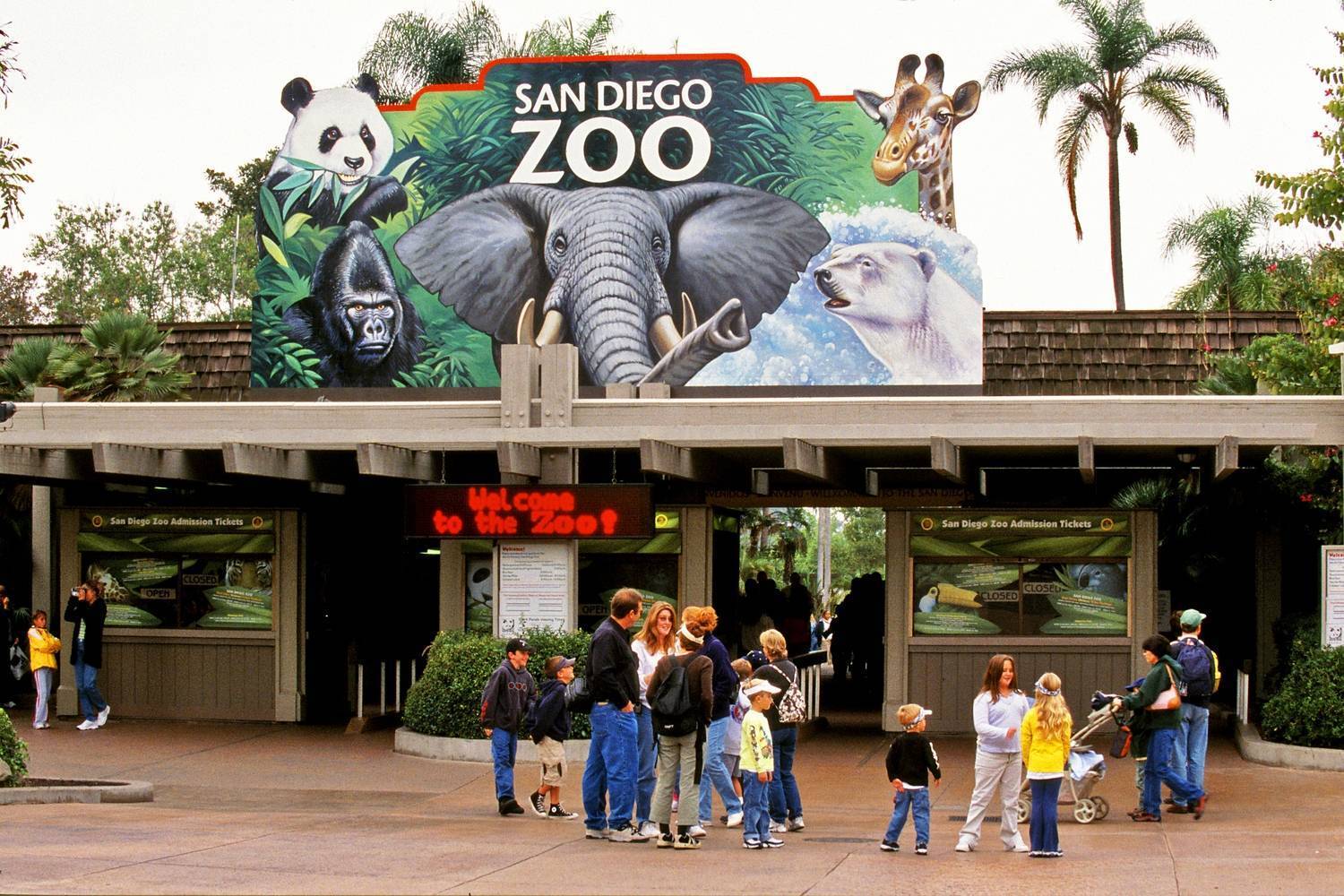 Лучшие зоологические парки планеты - мой отпуск
 - 30 июня
 - 43454712830 - медиаплатформа миртесен