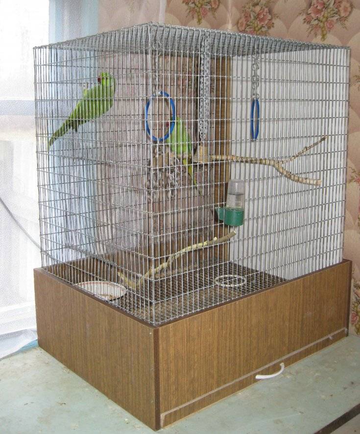 Клетка для попугая своими руками: как и из чего сделать в домашних условиях, видео и фото