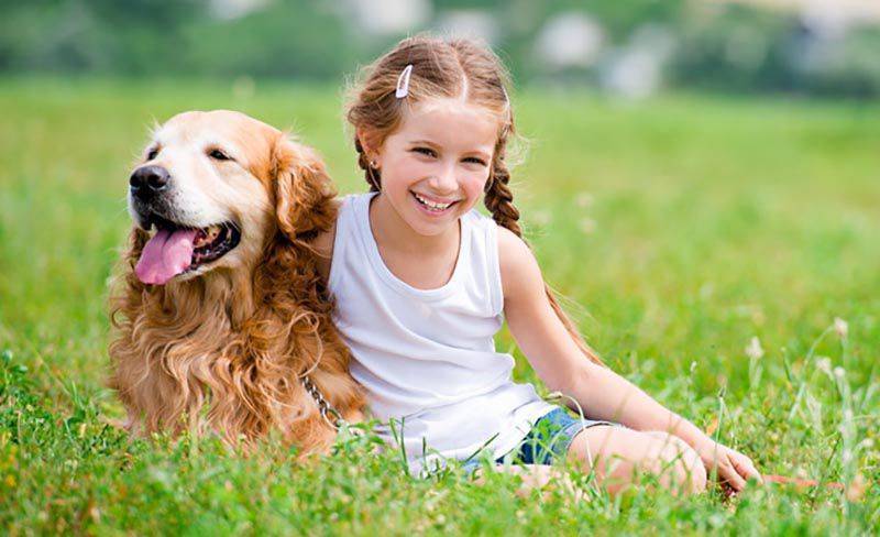 Лучшие породы собак для детей. какую собаку завести ребенку