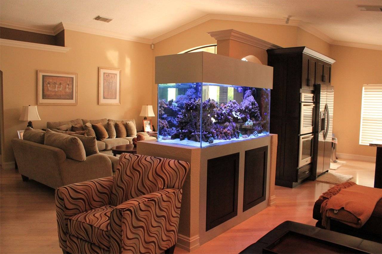 Оформление маленькой гостиной: аквариум в интерьере
оформление маленькой гостиной: аквариум в интерьере