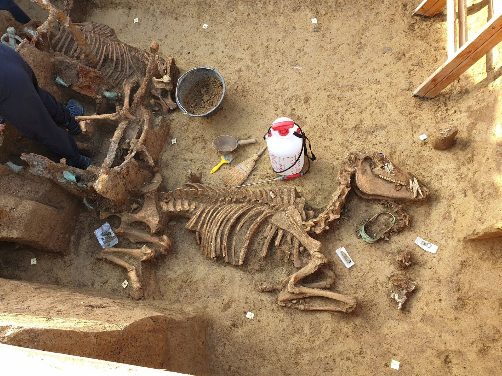 5 грандиозных тайн, раскопанных археологами на алтае