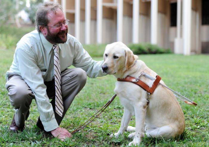 10 лучших пород собак-поводырей для слепых