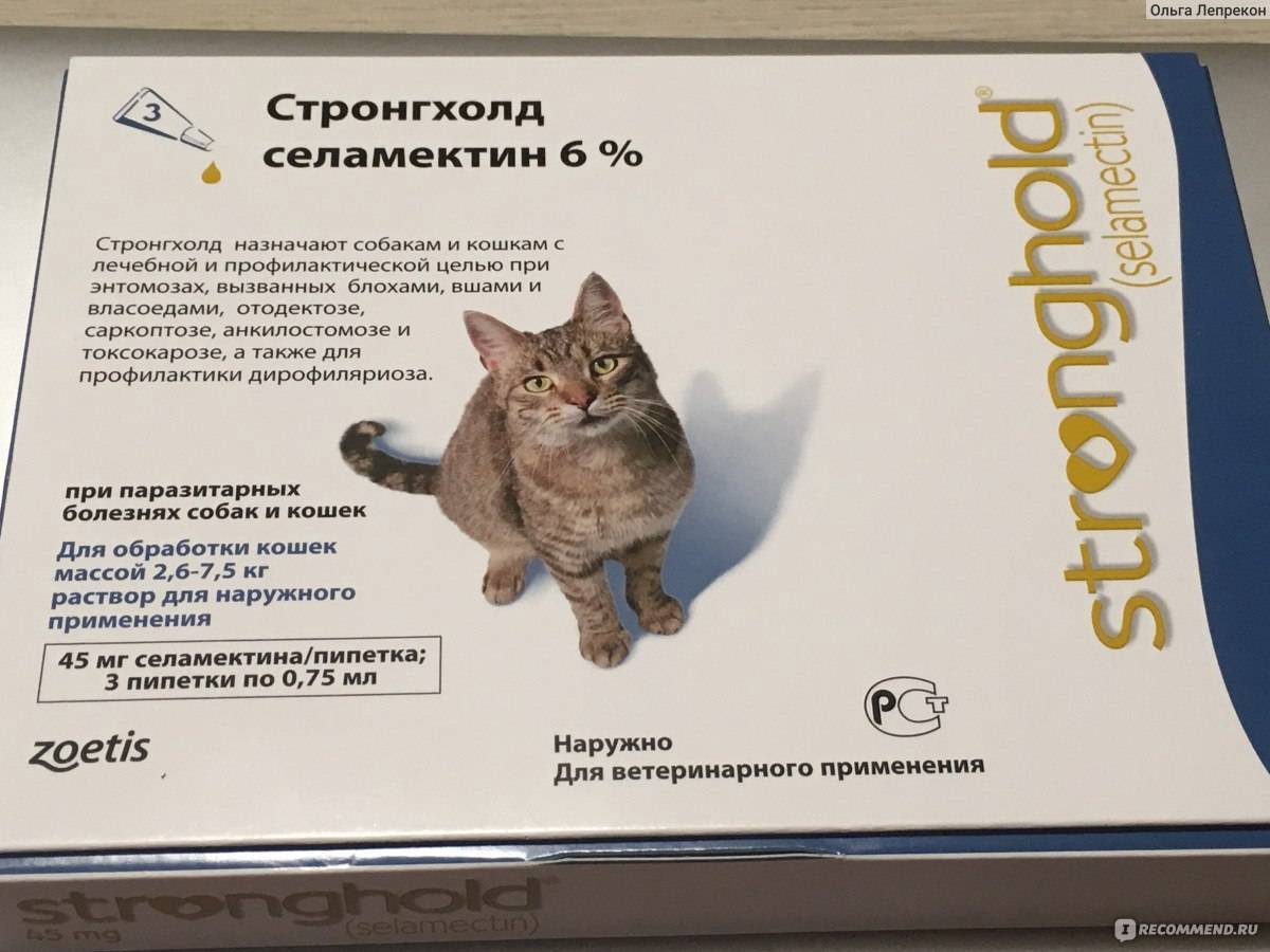 Стронгхолд для кошек: инструкция по применению капель от блох и глистов