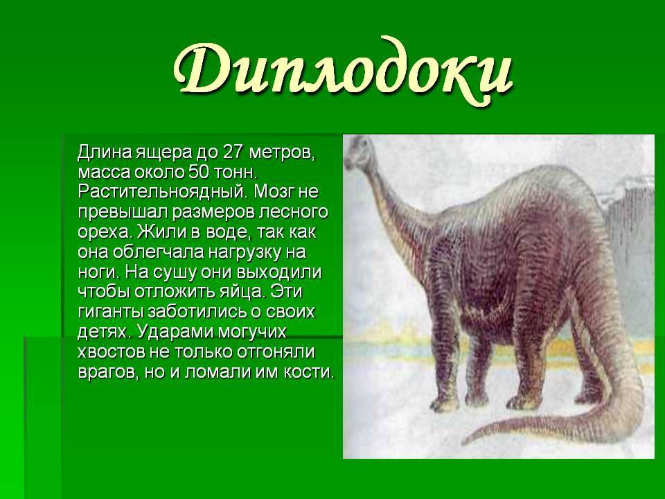 Тираннозавр – фото, описание, обнаружение, ареал, рацион, враги