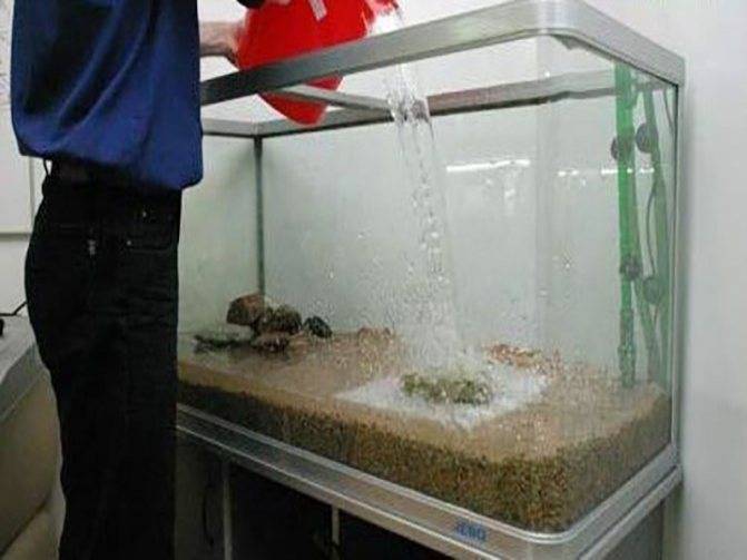Как часто менять воду в аквариуме: частота полной, частичной замены