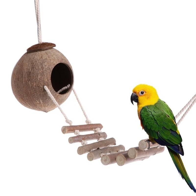Игрушки для попугаев - какие игрушки купить попугаям