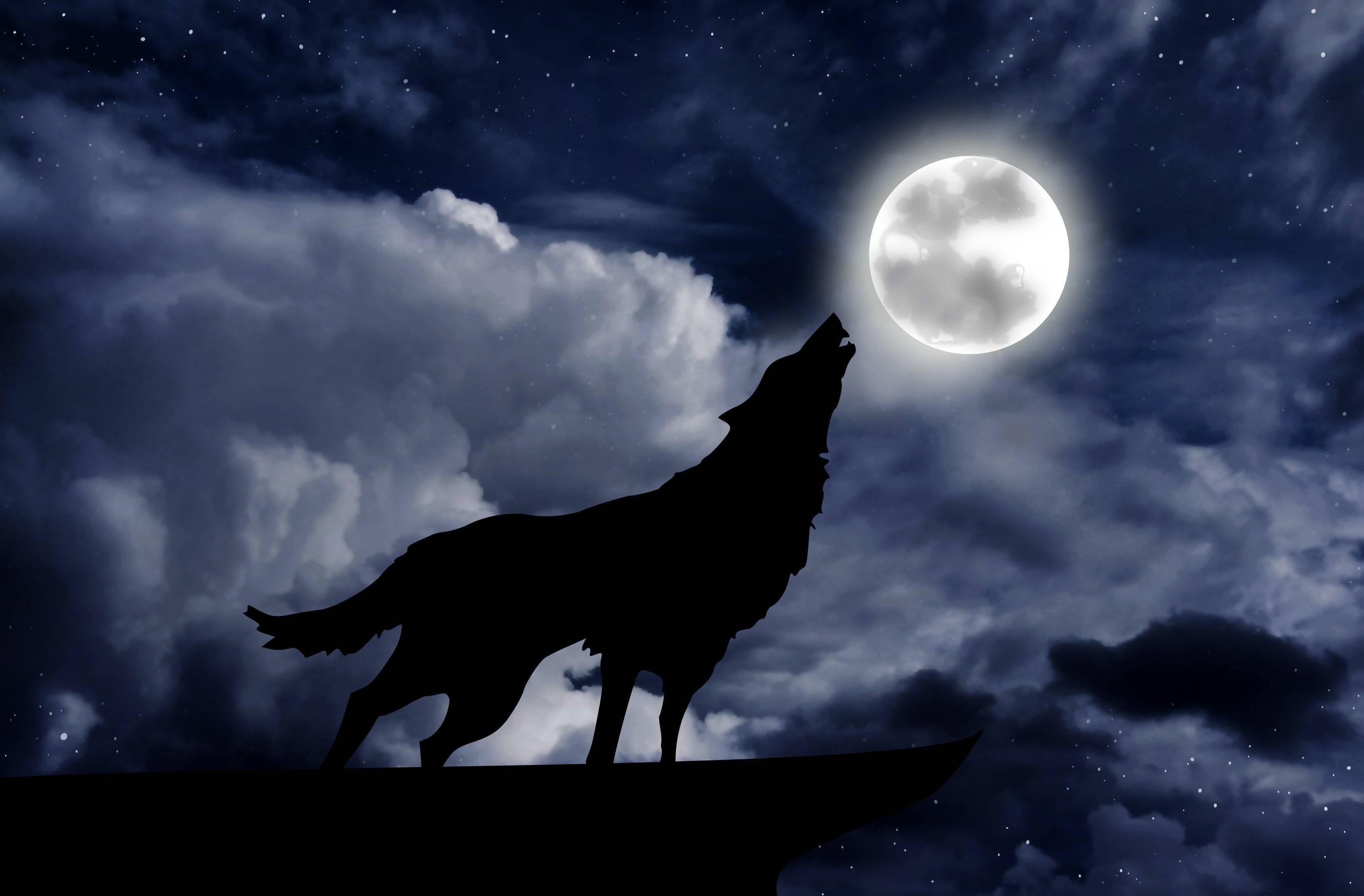 Почему волки воют на луну?