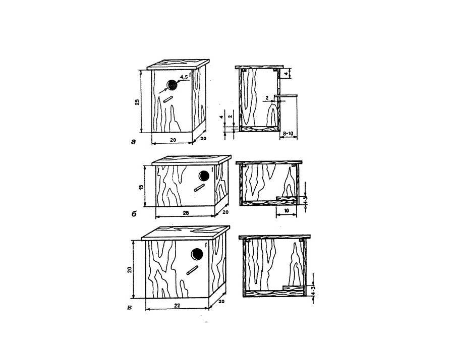 Как сделать комфортное гнездо для волнистых попугаев