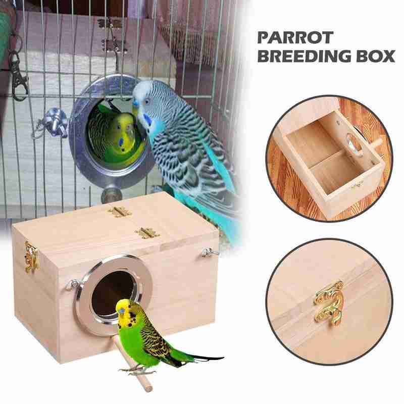 Гнездо для волнистых попугаев: размеры, материалы, форма