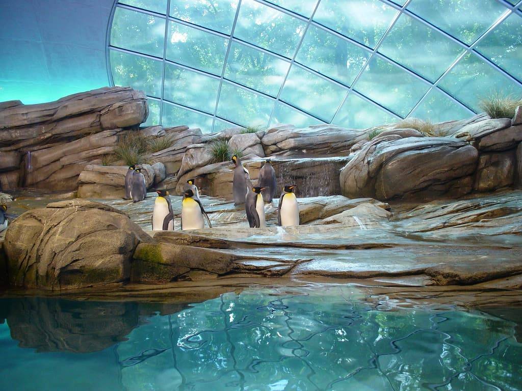 Самые большие зоопарки в мире - топ-10 с фото