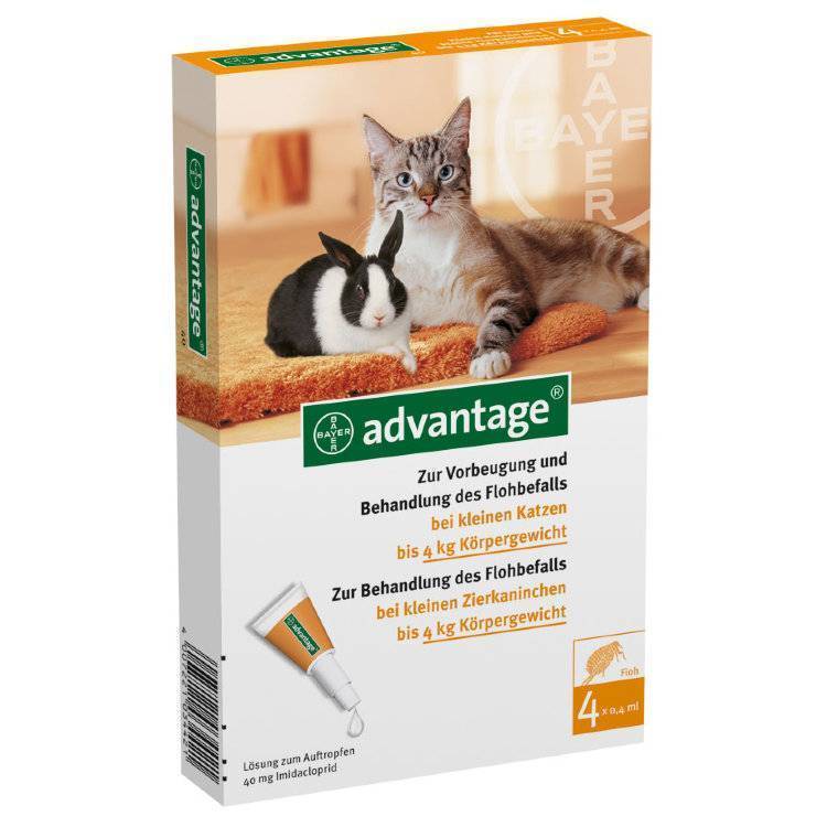 Капли адвантейдж на холку для кошек: описание, инструкция по применению, противопоказания и побочные эффекты, аналоги, отзывы