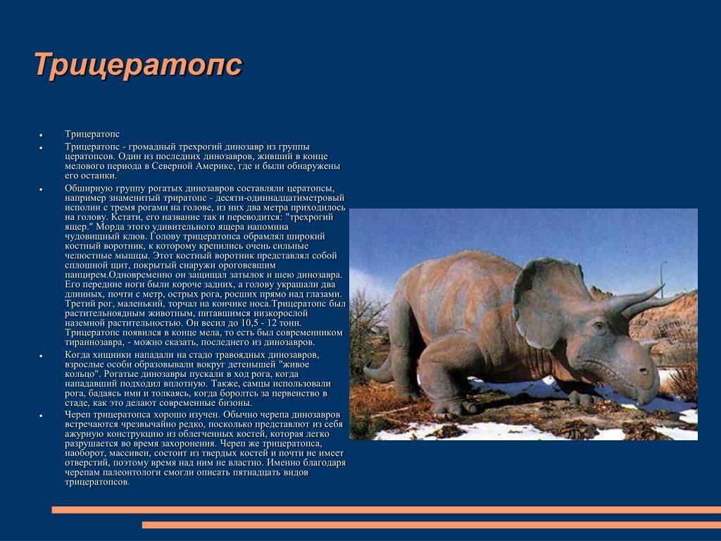 Спинозавр – фото, описание, обнаружение, ареал, рацион, враги