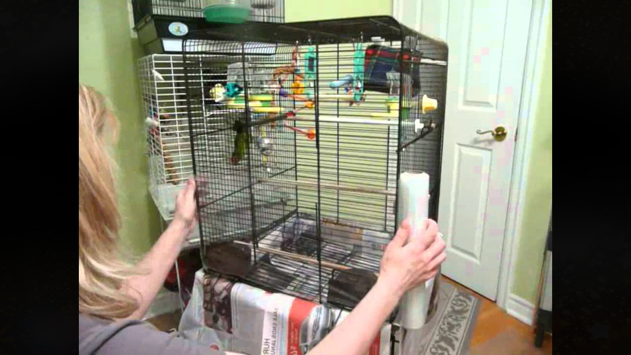 Как часто нужно чистить клетку попугая