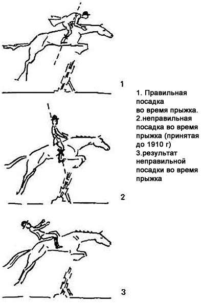 Бег лошади (аллюры): шаг, рысь, галоп и их скорость