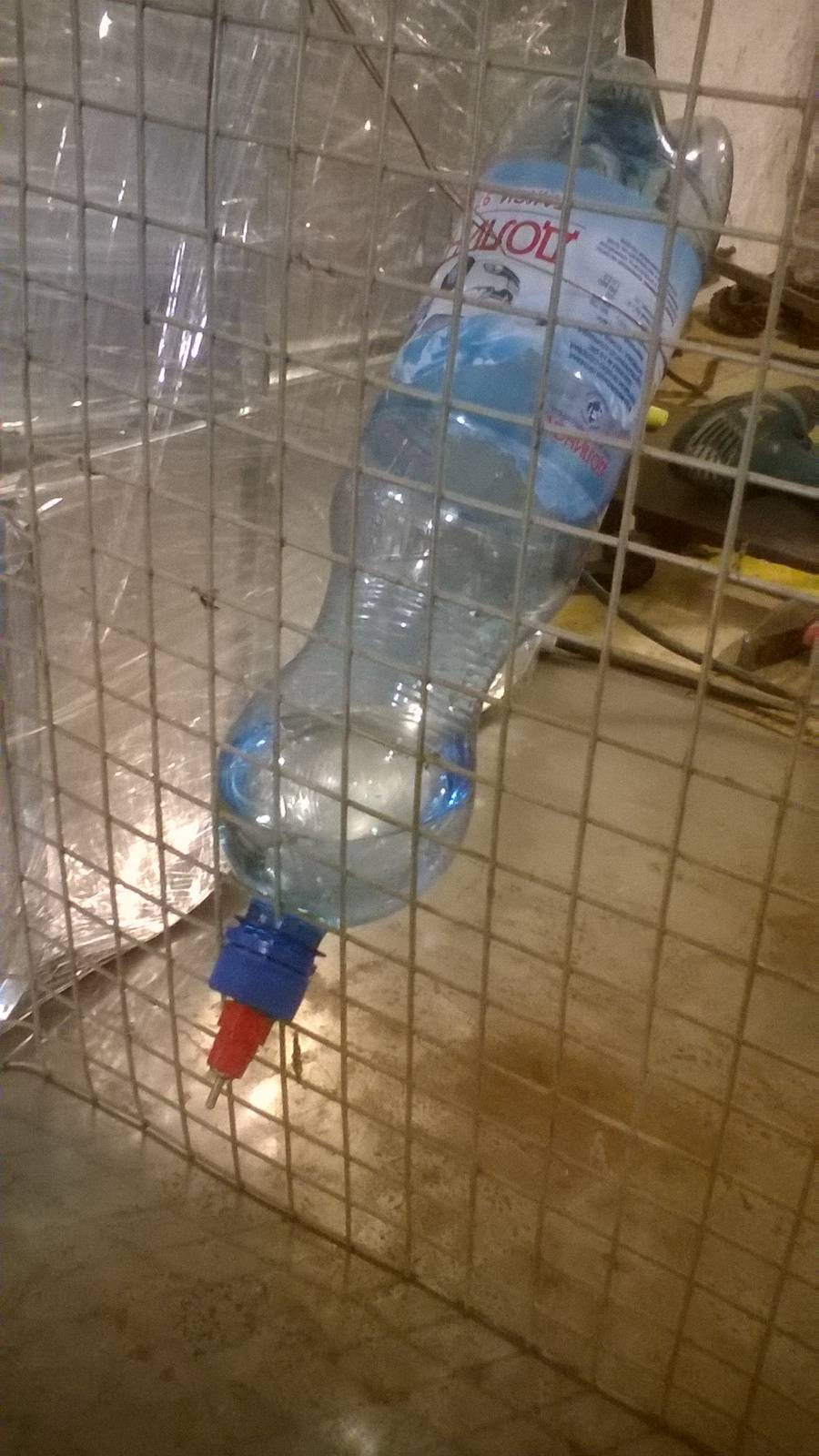 Как сделать поилки для кроликов из пластиковых бутылок