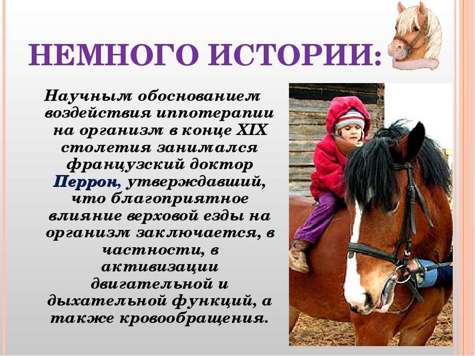 Польза и вред верховой езды на лошадях, видео уроки, экипировка | zaslonovgrad.ru