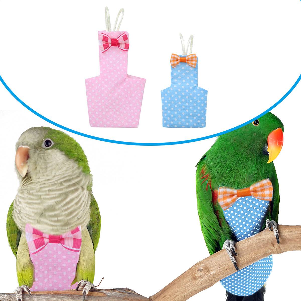 ᐉ памперсы для попугаев - для чего нужны и как применять? - zoogradspb.ru