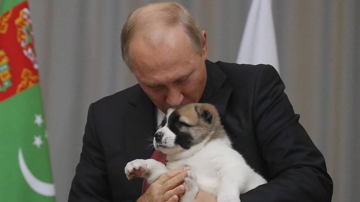 Любимая собака путина: какое у нее имя и домашний зоопарк президента россии