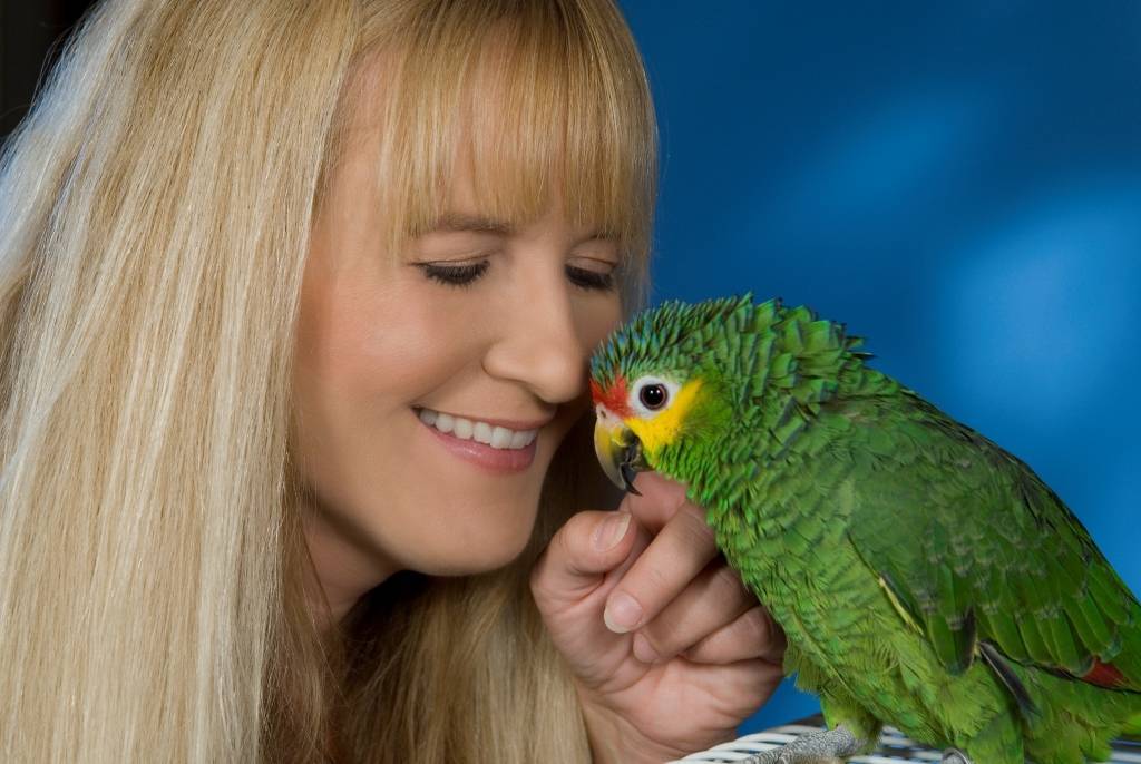 Как можно научить попугая разговаривать