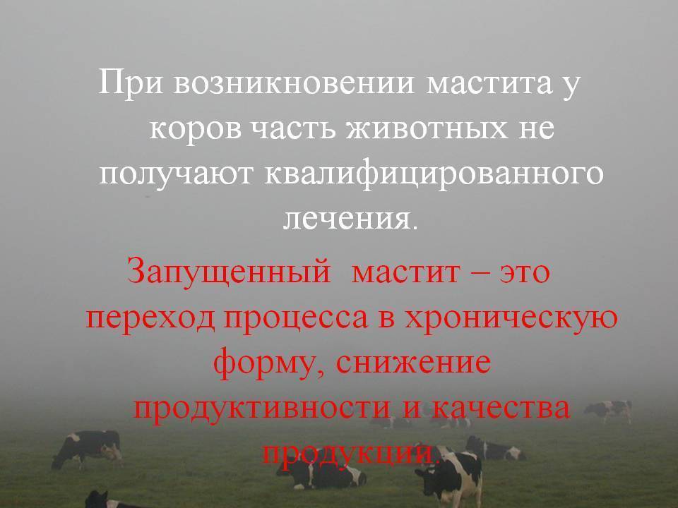 Домашние козы. основные болезни и обязательные прививки