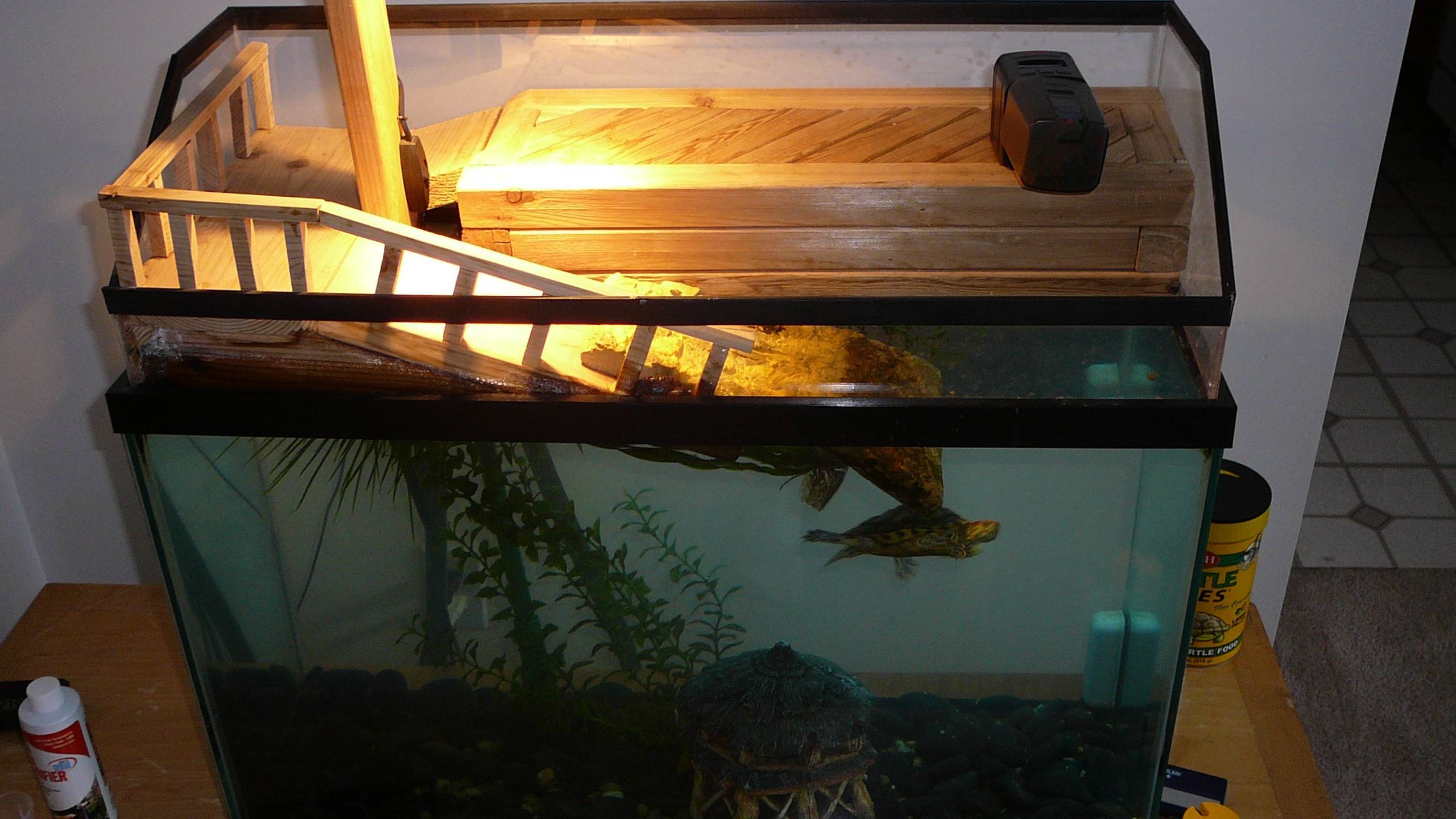 Как обустроить акватеррариум для водных черепах