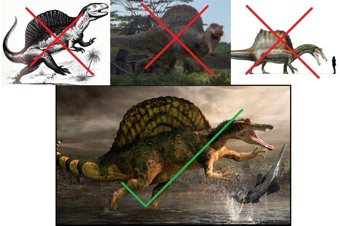 Первый водный динозавр. история спинозавра от открытия до наших дней - paleonews
