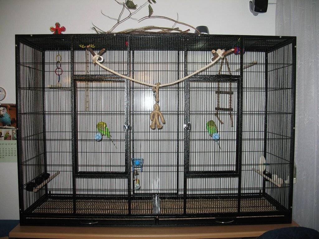 Клетка для попугая: как сделать своими руками, фото больших самодельных вольеров, как собрать в домашних условиях, чертежи и пошаговая инструкция