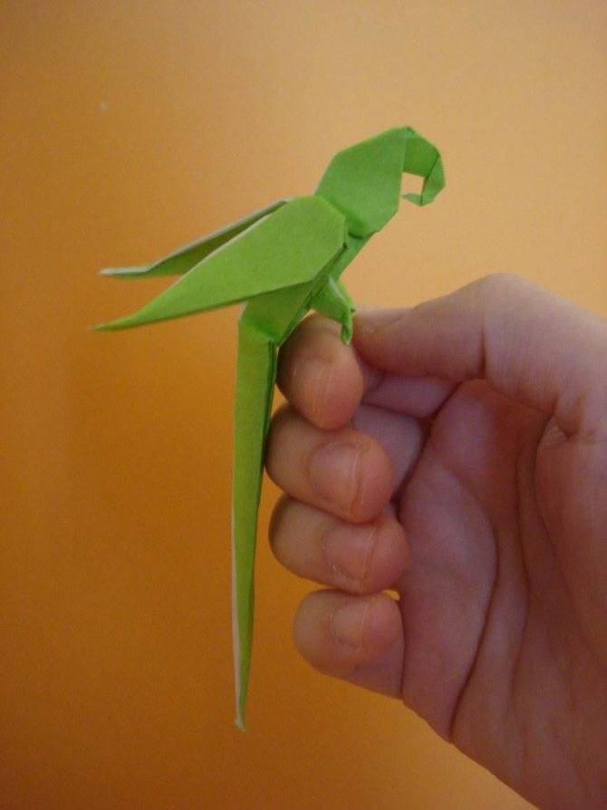 Как сделать из бумаги бумажного попугая
