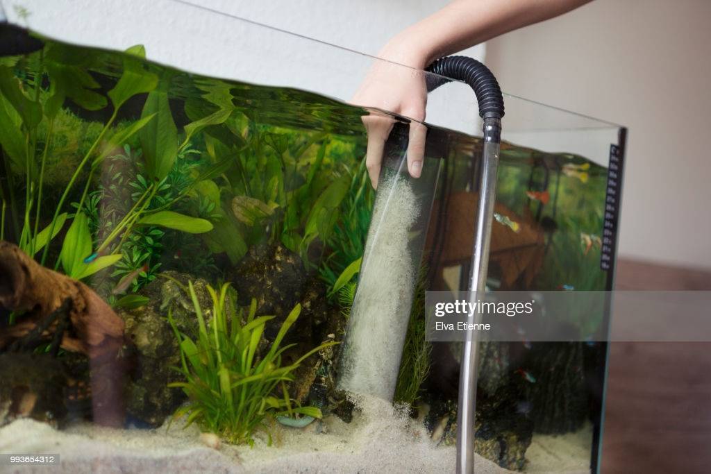 Как почистить аквариум в домашних условиях: как часто мыть