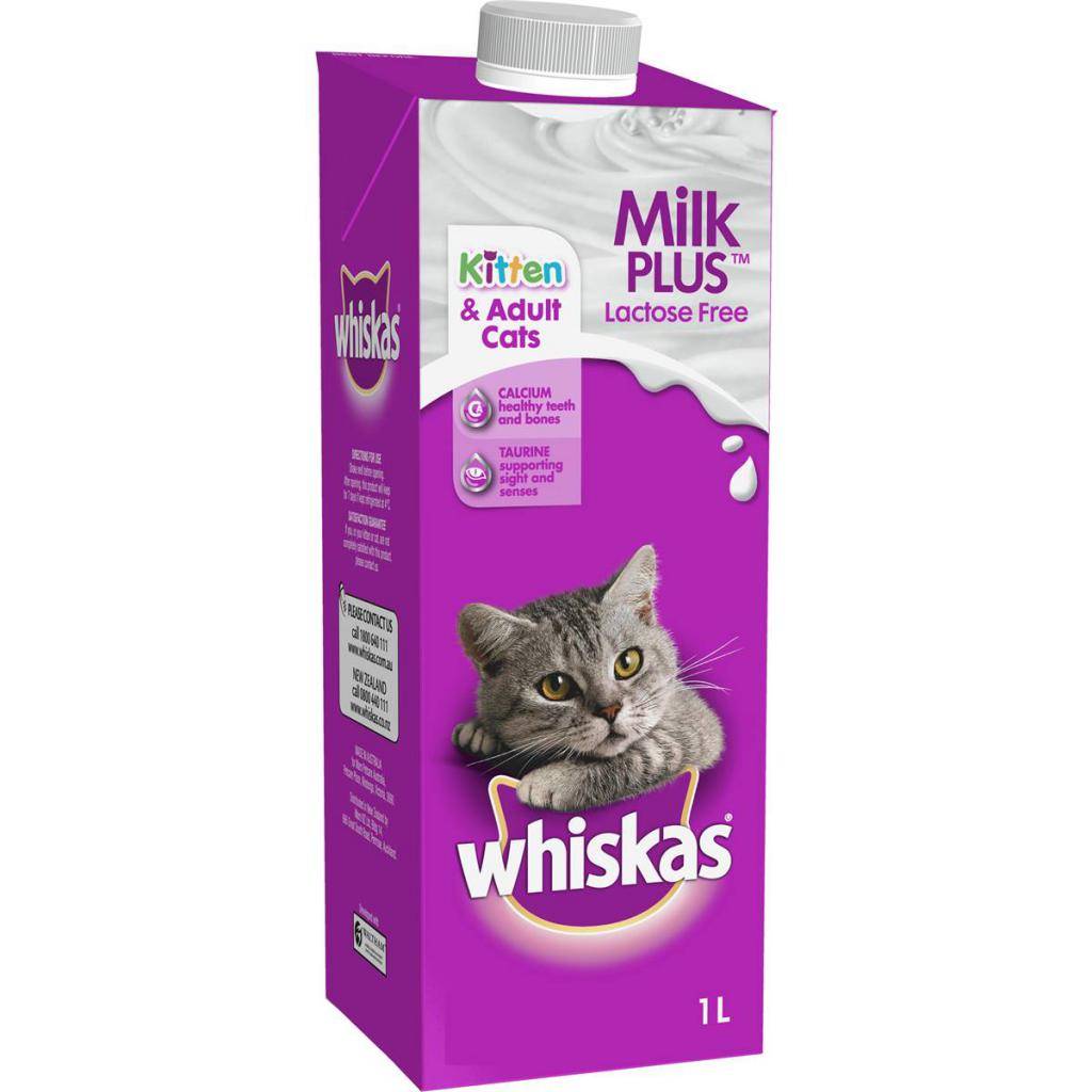 Примеры заменителей молока для кошек: состав и какая жирность в процентах