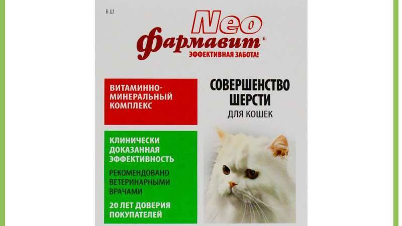 Авитаминоз у кошек - лечение, диагностика | ветклиника берлога