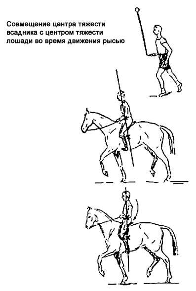 Как ездить верхом на лошади правильно: обучение, основные правила, видео