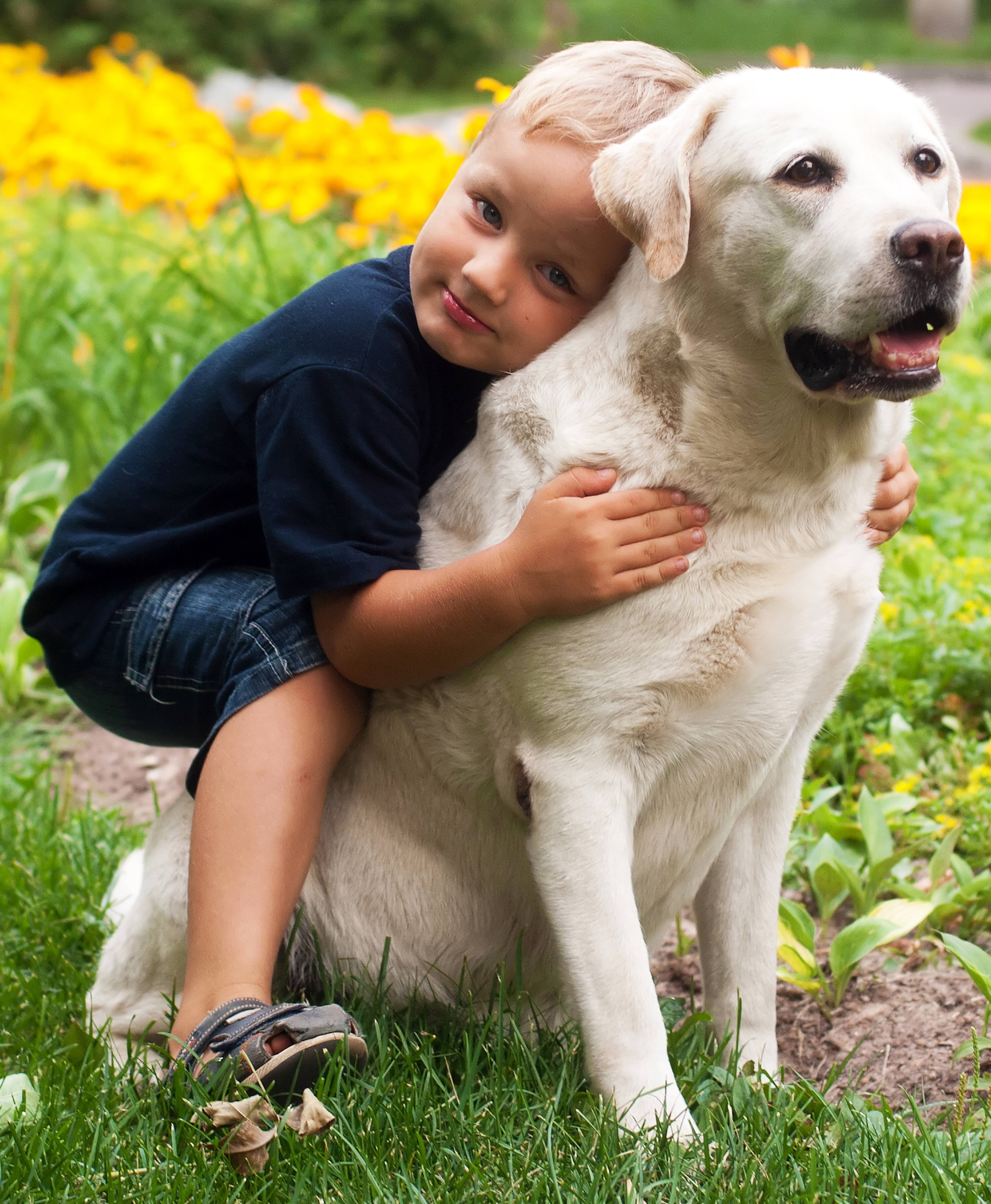 Самые добрые породы собак для детей – в квартиру или частный дом
