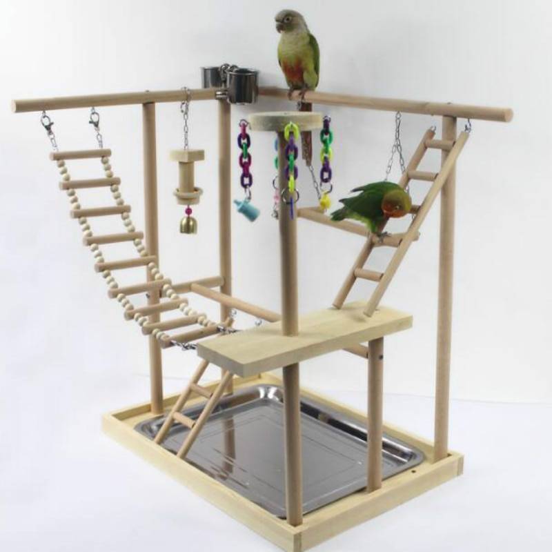 Как сделать игровую площадку (стенды) для попугая своими руками?